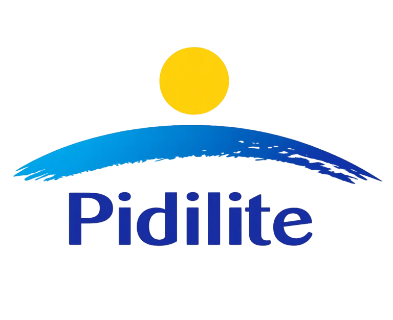 pidilite (1)